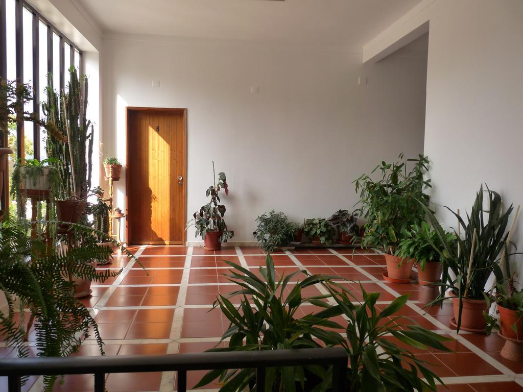 Residencial O Bras Hotel Alvaiazere Exterior photo